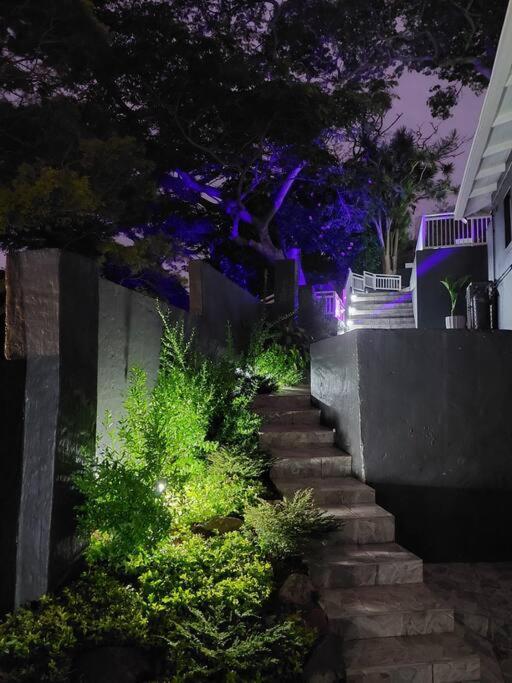 הוילה דורבן Harbour View House מראה חיצוני תמונה